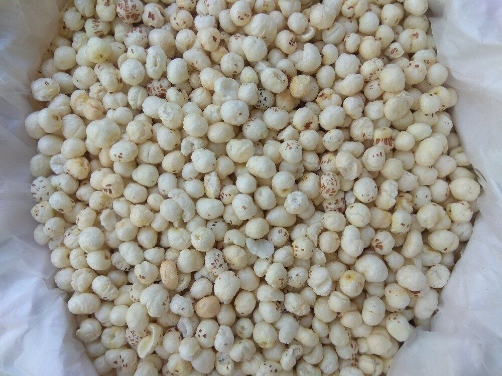 4 Suta Makhana Mera Kisan